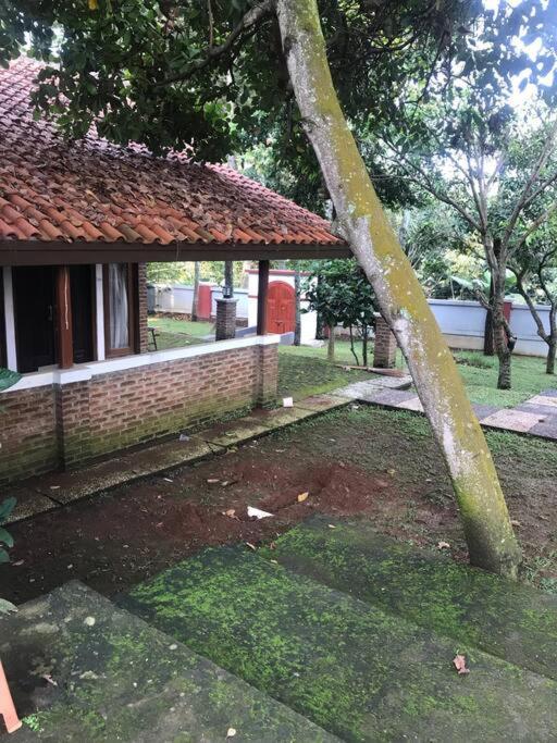 Villa Naumi บันดุง ภายนอก รูปภาพ